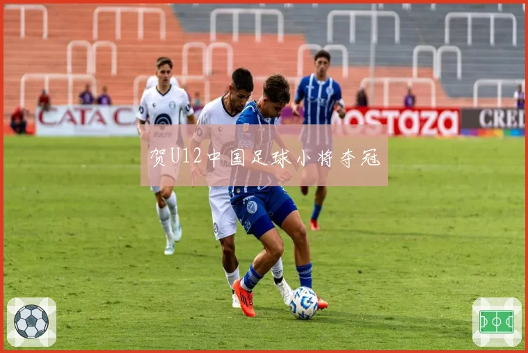 贺U12中国足球小将夺冠