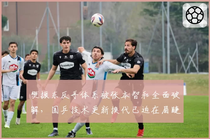 樊振东反手体系被张本智和全面破解,国乒技术更新换代已迫在眉睫?